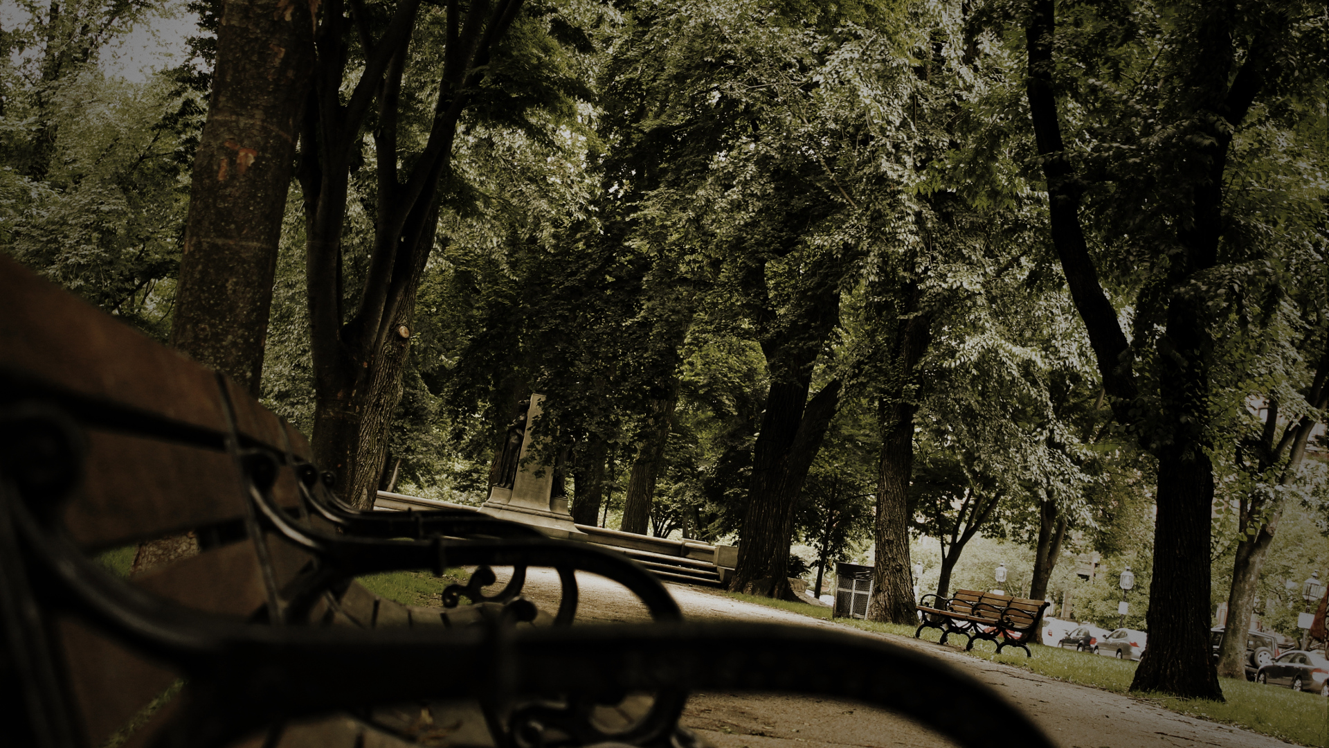 Bench in Boston Park