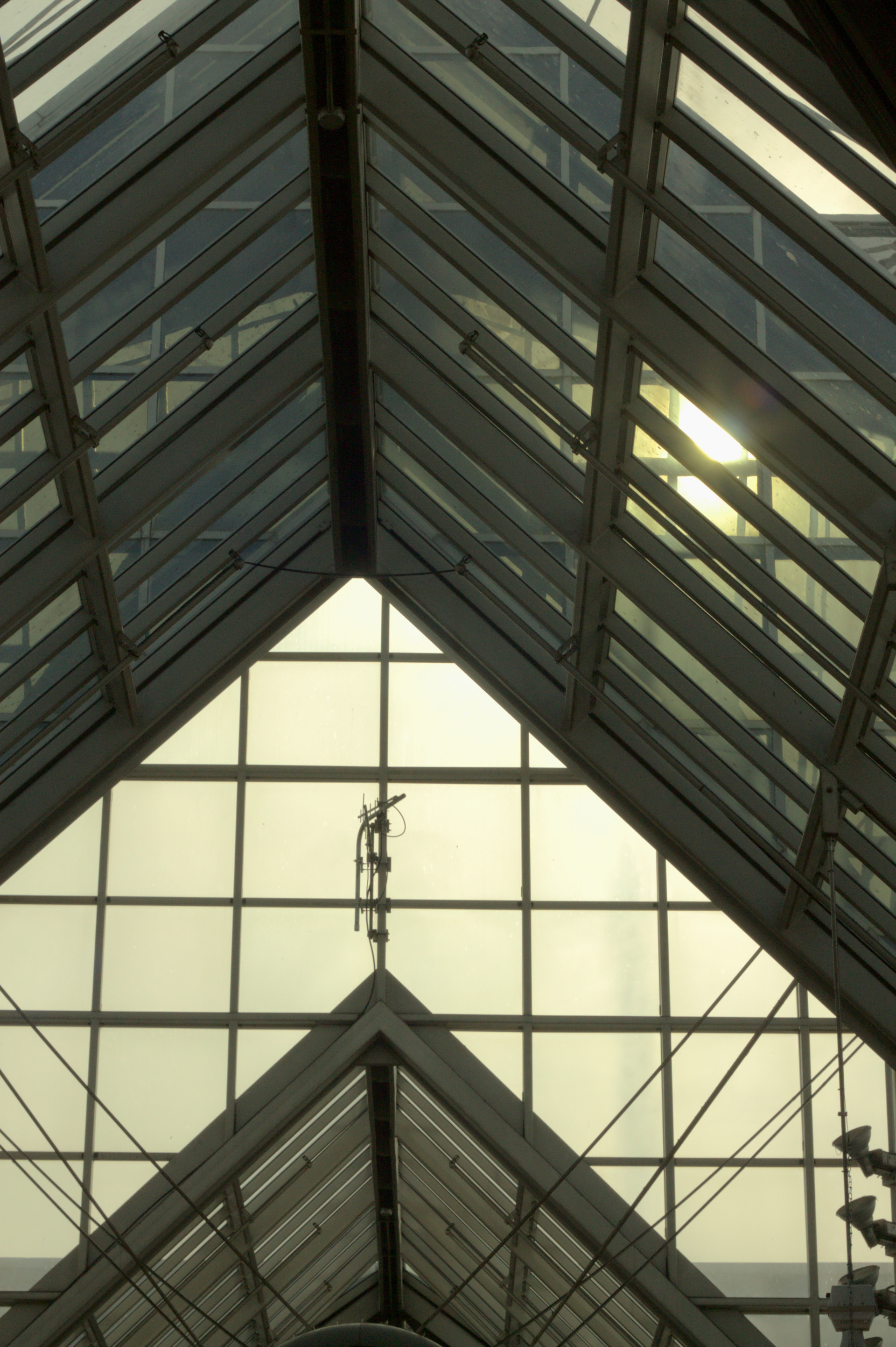 Skylight in Boston Arboretum Metro Station